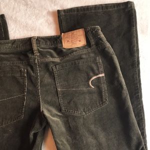 American eagle cordoruy .